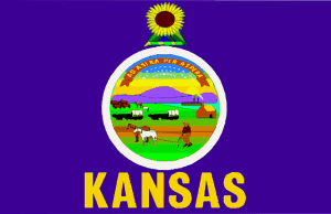 Kansas State Flag