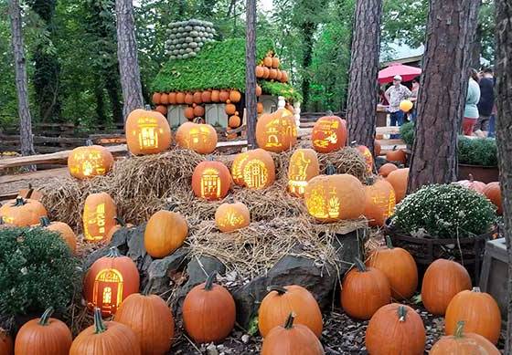 Silver Dollar City: Pumpkin Nights