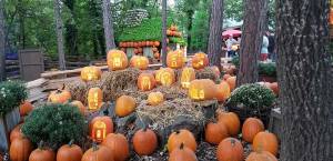 Silver Dollar City: Pumpkin Nights