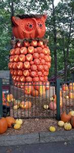 Silver Dollar City: Pumpkin Nights