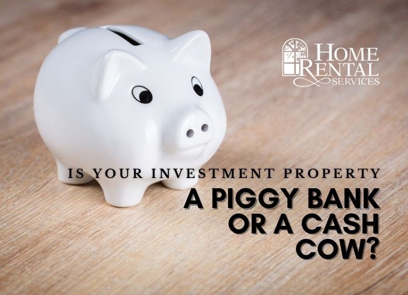 Piggy Bank or Cash Cow?
