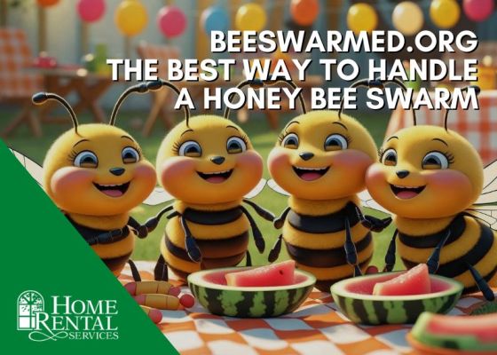 BeeSwarmed.org - The Best Way to Handle a Honey Bee Swarm