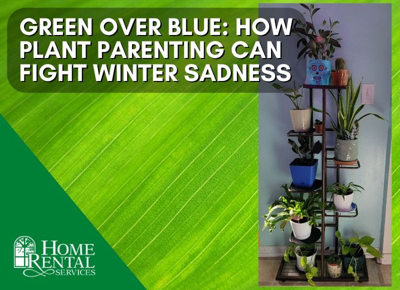 Green over Blue: How Plant parenting can fight winter sadness